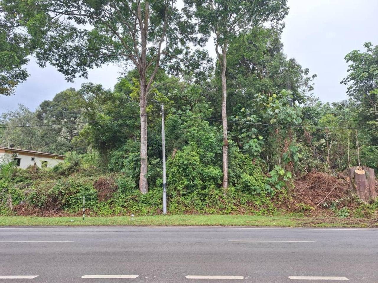Tanah Pertanian Kundur Pedas Negeri Sembilan 5 Ekar Freehold Tepi Jalan Utama
