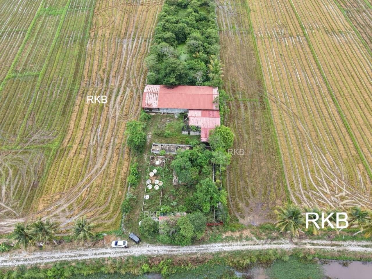 Tanah Kg Merkang Pasir Puteh Kelantan 1.25 Ekar Freehold
