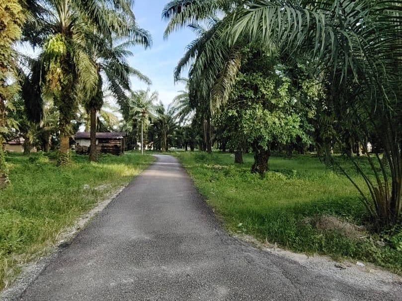 Tanah First Grade 1.26 Ekar Sungai Bakap Seberang Perai Selatan Freehold (Zon Perumahan)