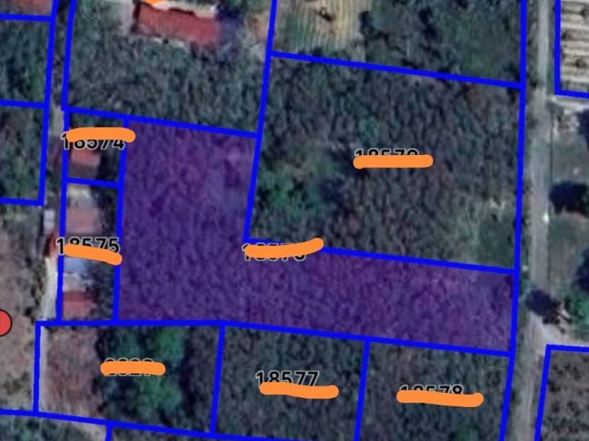 Tanah Kebun Getah Banggol Sena Padang Siding Perlis 44767 Sqft