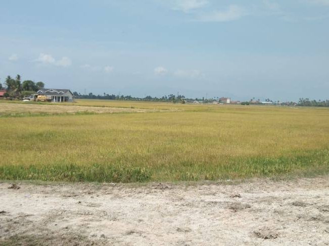 Tanah Bendang Permatang Kerai Besar Kepala Batas Pulau Pinang 1.94 Ekar Freehold
