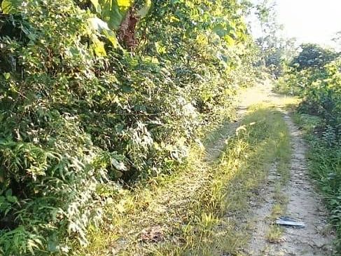Tanah Pertanian Kg Balun Slim River Perak 5 Ekar Freehold Siap Pecah Lot