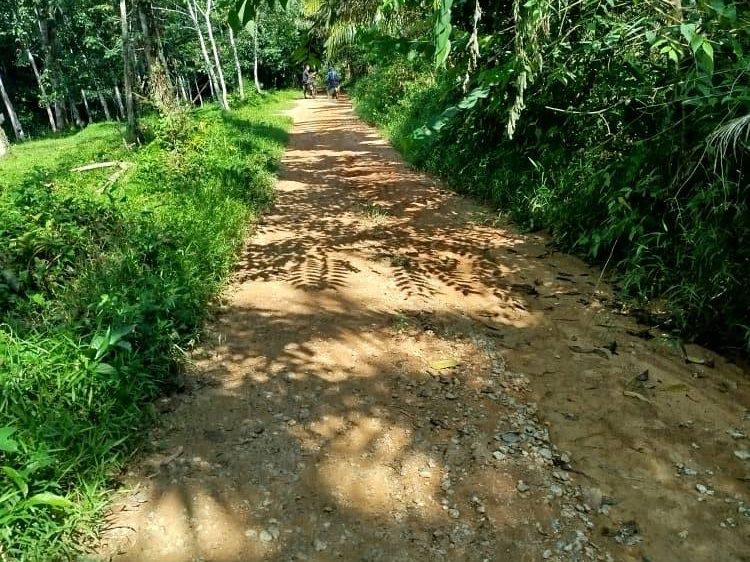 Tanah Pertanian Kelapa Sawit Kg Kerawai Sik Kedah 2.96 Ekar Freehold Geran Mukim