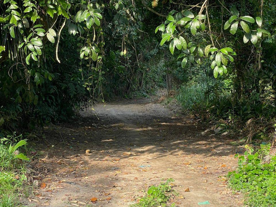 Tanah Dusun Buah Cherok Tokun Bukit Mertajam Pulau Pinang 2.88 Ekar