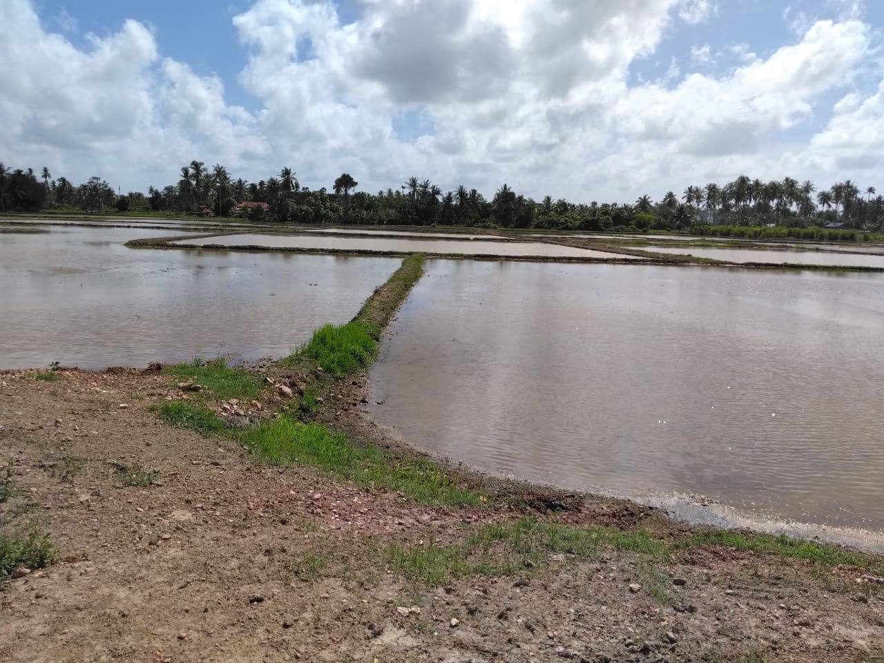 Tanah Lot Kampung Sireh Kota Kuala Muda Kedah 0.3998 Ekar Tepi Jalan Kampung