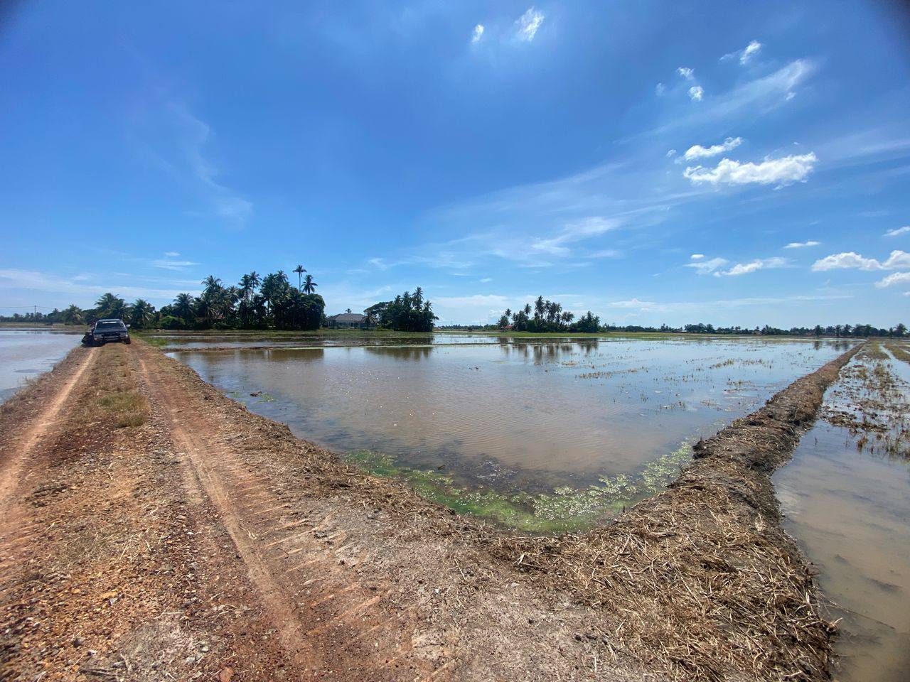 Tanah Pembangunan Jerlun Kubang Pasu Kedah 4.25 Relung Freehold Geran Individu