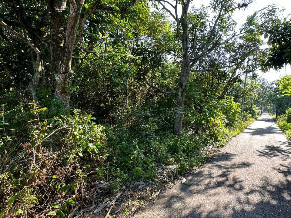 Tanah Lot Sungai Layar Hujung Sungai Petani Kedah 6822 Sqft Freehold Tepi Jalan Utama