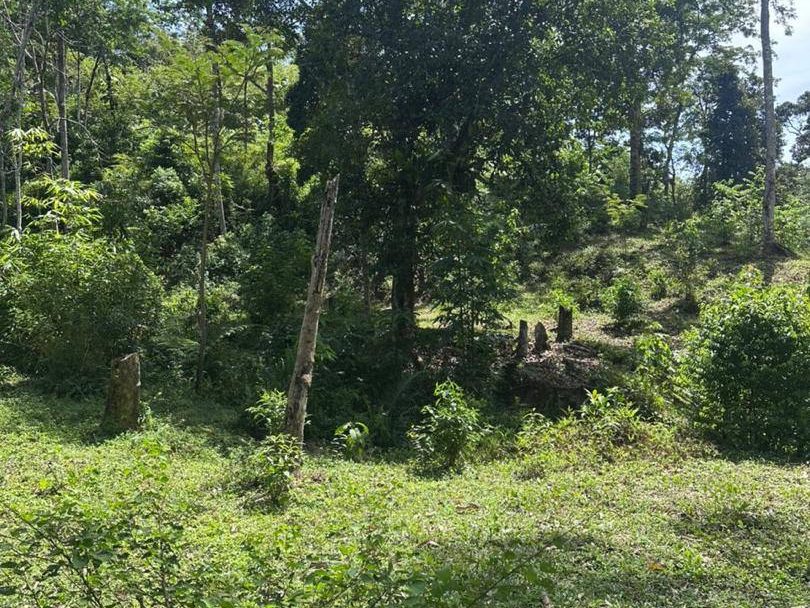 Tanah Pertanian Kg Pantai Besar Batu Kurau Perak 3 Ekar Geran Kongsi