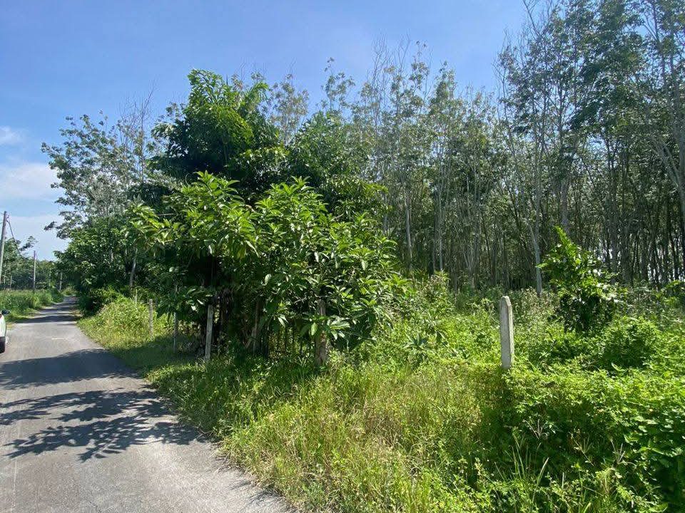 Tanah Kebun Getah Banggol Sena Padang Siding Perlis 44767 Sqft
