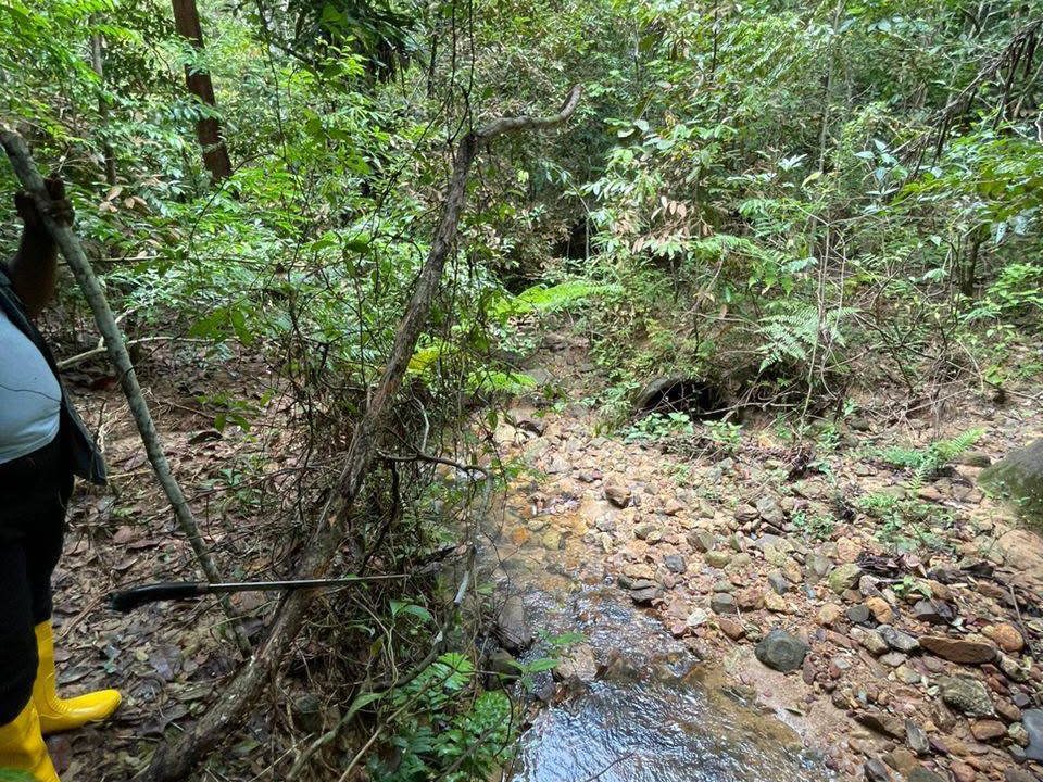 Tanah Pertanian Pekan Terap Kulim Kedah 10.35 Ekar Freehold Ada Sungai