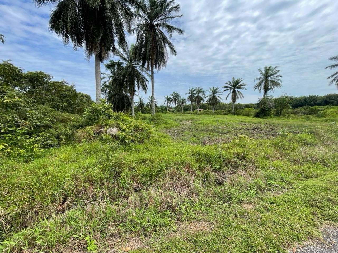 Tanah Pertanian 1.3 Ekar Nusa Dusun Kuala Linggi Melaka