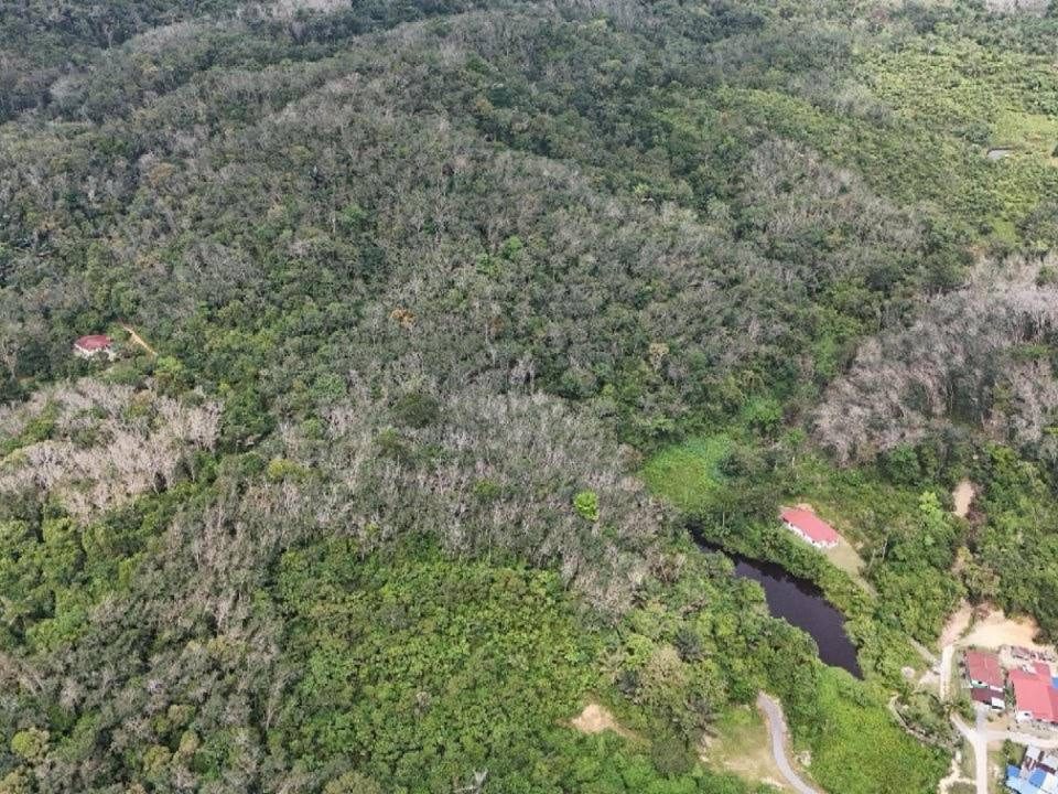 Tanah Pertanian 5.16 Ekar Kampung Pilah Tengah Kuala Pilah Negeri Sembilan Freehold