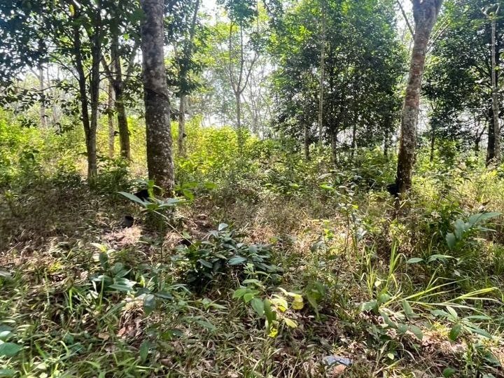 Tanah Pertanian 5.79 Ekar Padang Lebar Kuala Pilah Freehold