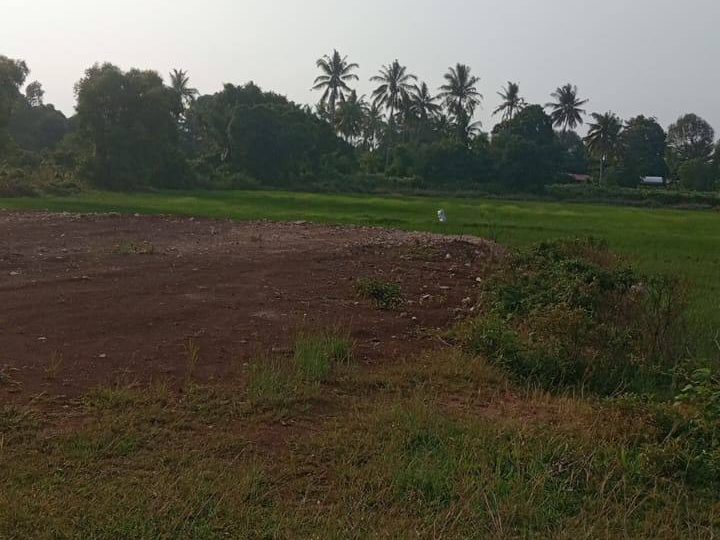 Tanah Dekat Pantai Kg Sepat Kuantan 1.45 Ekar