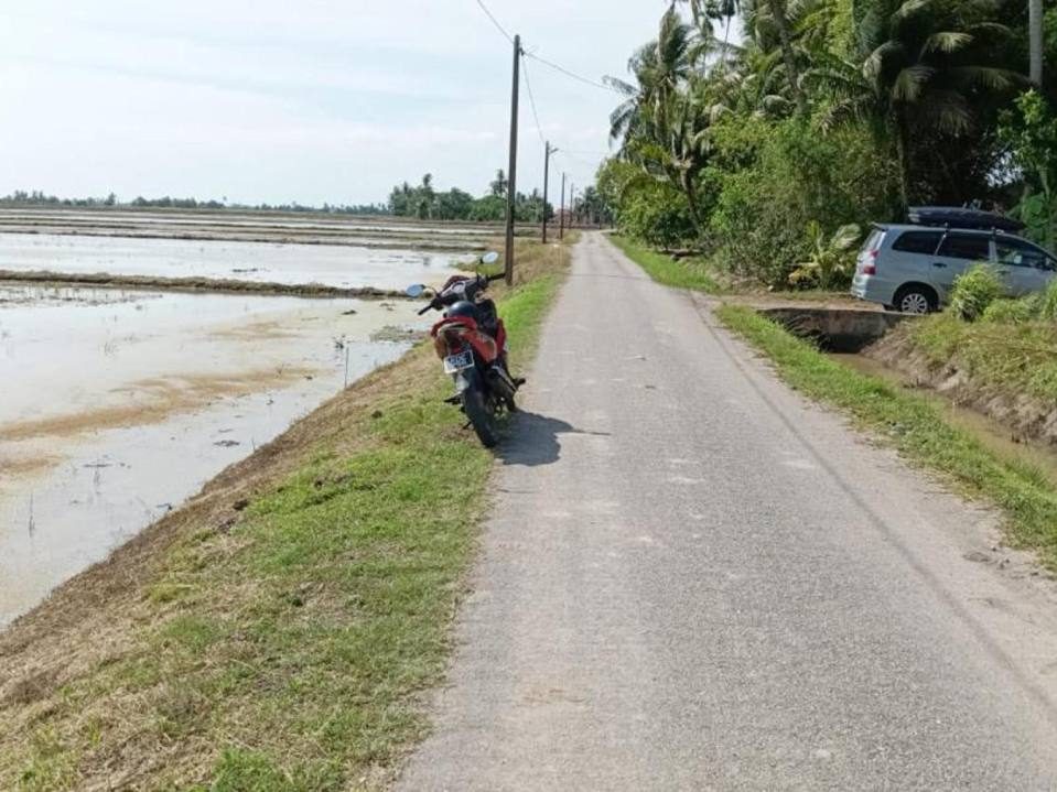 Tanah Sawah Sungai Daun Yan Kedah 6.82 Ekar Freehold