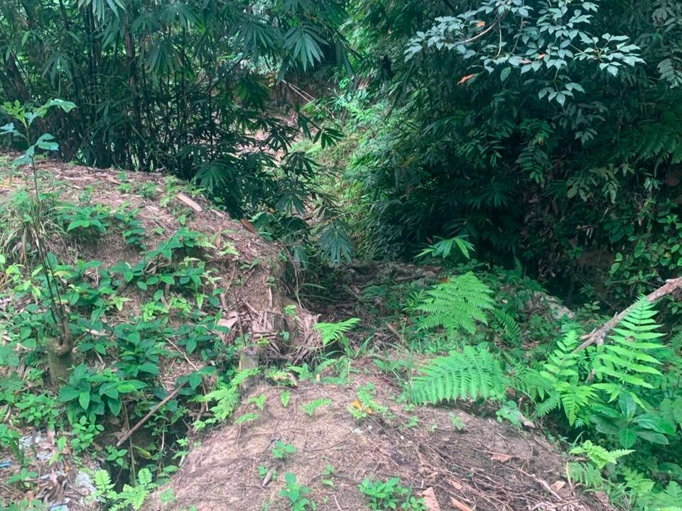 Tanah Pertanian Sungai Kechil Bandar Baharu Kedah 2.12 Ekar Freehold