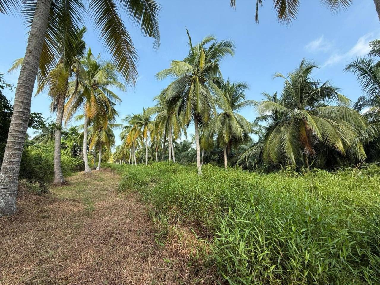 Tanah Kebun 2.02 Ekar Tepi Jalan Utama Jasin Melaka Freehold