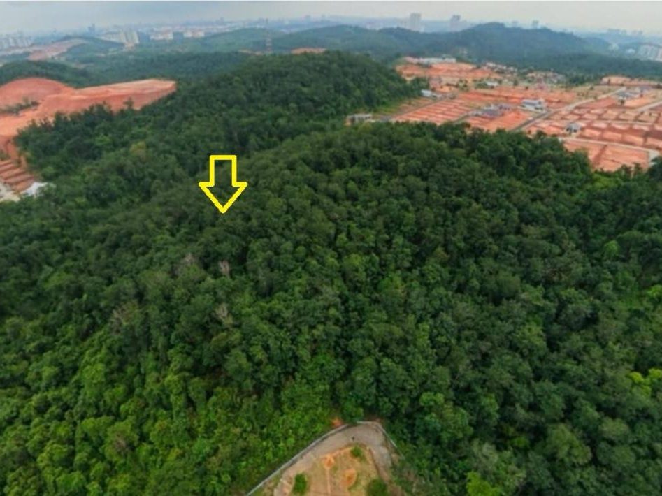 Tanah Pertanian 5.75 Ekar Sungai Merab Dengkil Freehold