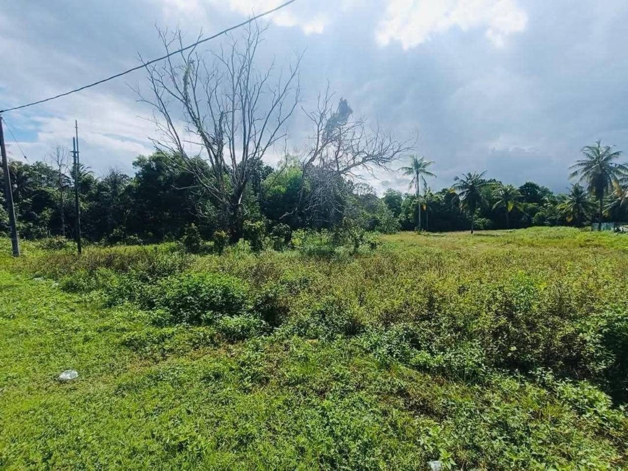 Tanah Tepi Jalan Utama Cherating Kuantan 2.6 Ekar Freehold Geran Individu