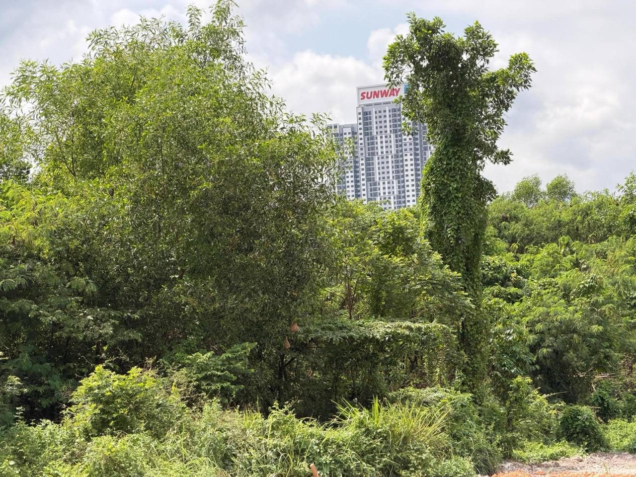 Tanah Pertanian Batu 14 Jalan Cheras Kajang 3.85 Ekar Freehold Geran Individu