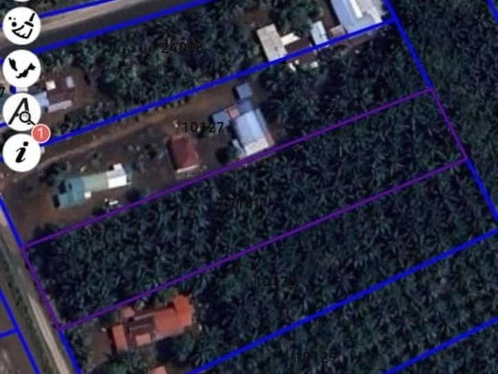 Tanah Pertanian Parit Pulai Darat Tangkak Johor 1.7 Ekar Freehold