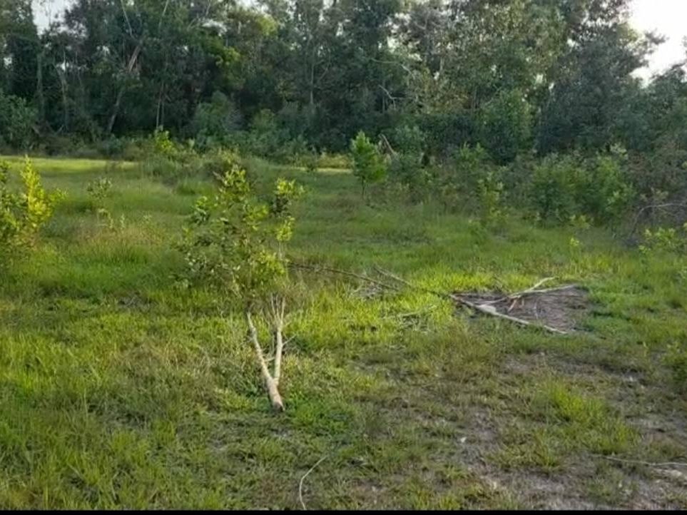 Tanah Lot Semi-D Batu Tiong Dungun Terengganu 10365 Sqft