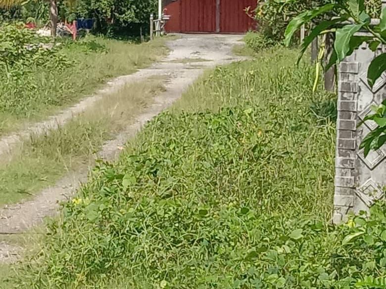 Tanah Pertanian Padang Kulim Kedah 1.94 Ekar Freehold Geran Individu