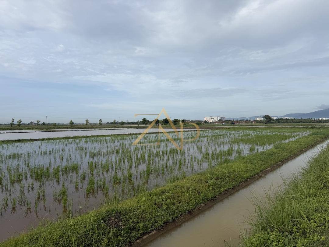 Tanah Sawah Teluk Air Tawar Penang 27,828 Kaki Persegi Freehold