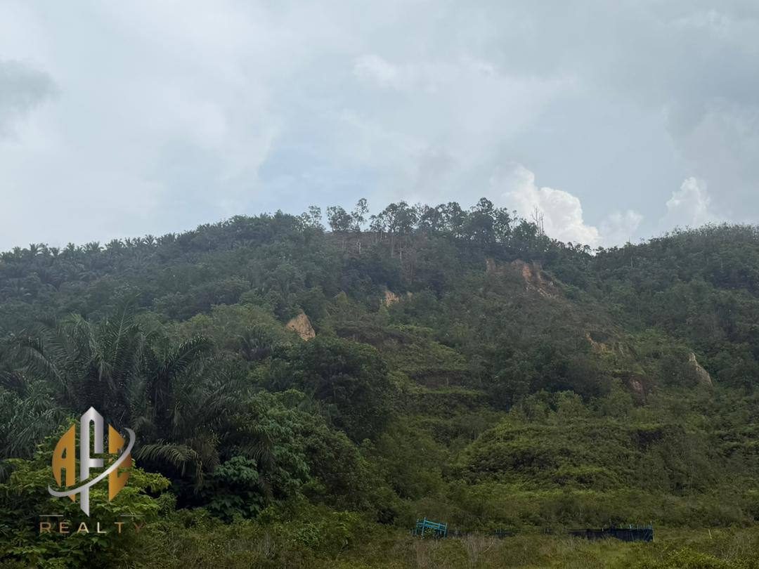 Tanah Pertanian Bandar Baharu Kedah 19.9 Ekar Freehold