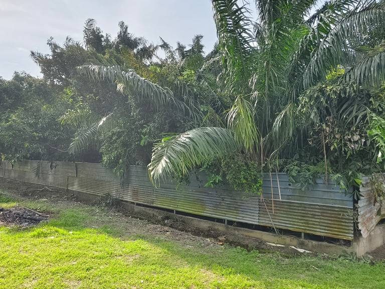 Tanah 26.27 Ekar Tasek Gelugor Penang Freehold 4 Lot Geran Individu