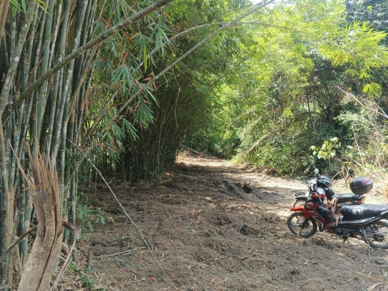 Tanah Pertanian Rasa Batang Kali Selangor 3 Ekar Freehold