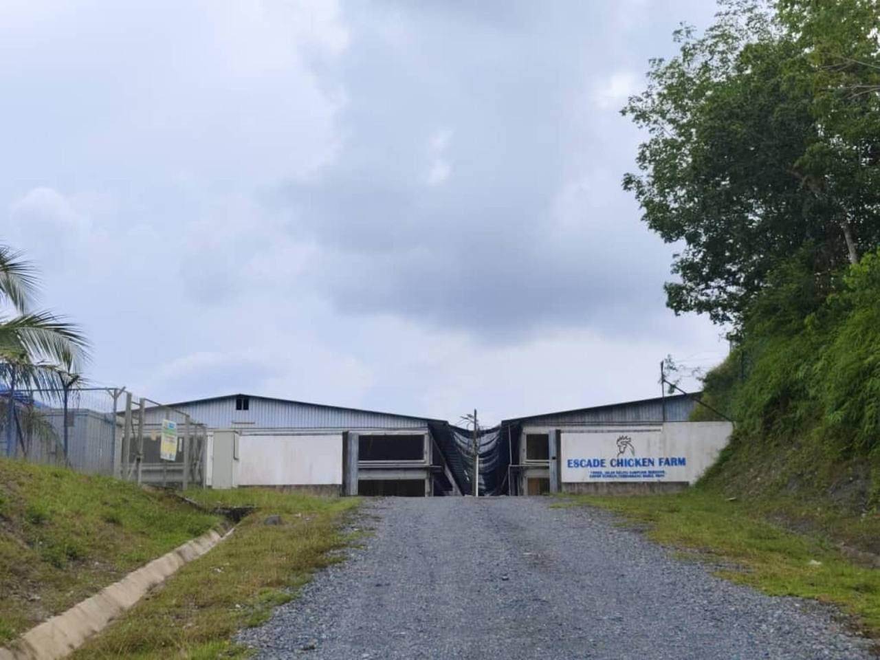 Tanah Pertanian Bukit Sawal Kumpal Dungun Terengganu 6.4 Ekar Freehold