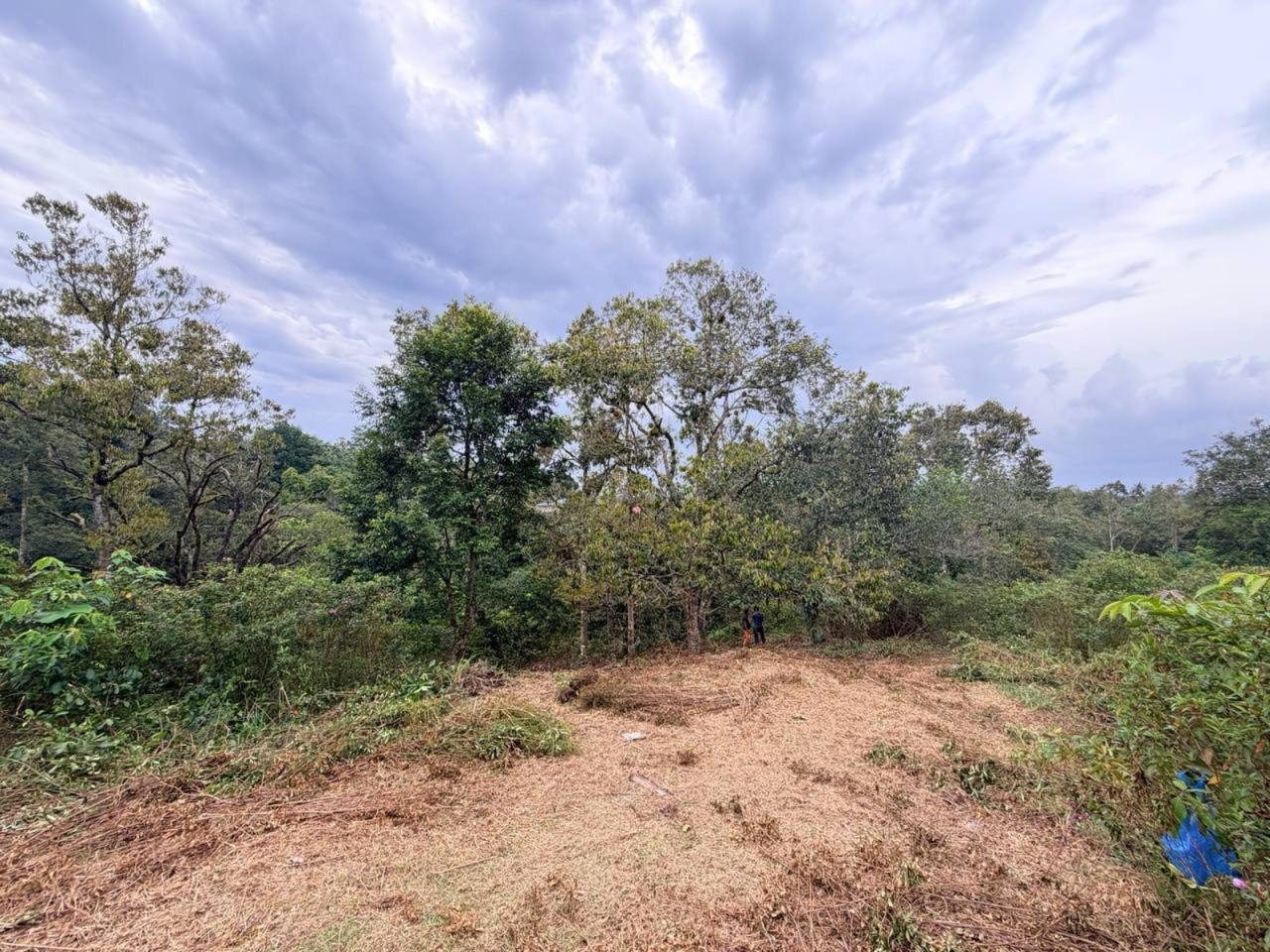 Tanah Kebun 1 Ekar di Sri Bandi, Kemaman, Terengganu
