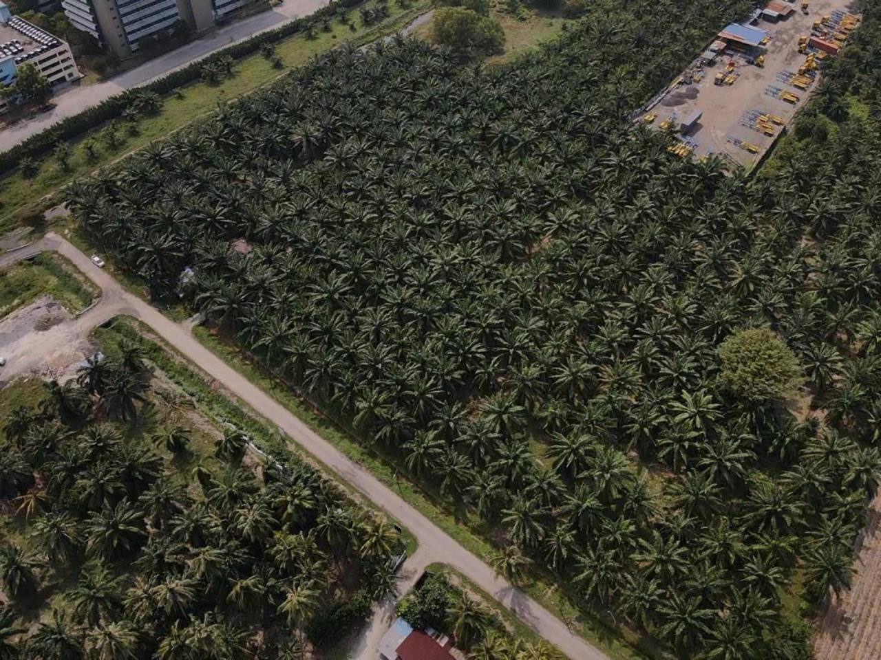 Tanah Pertanian Pulau Indah Klang Selangor 3.18 Ekar