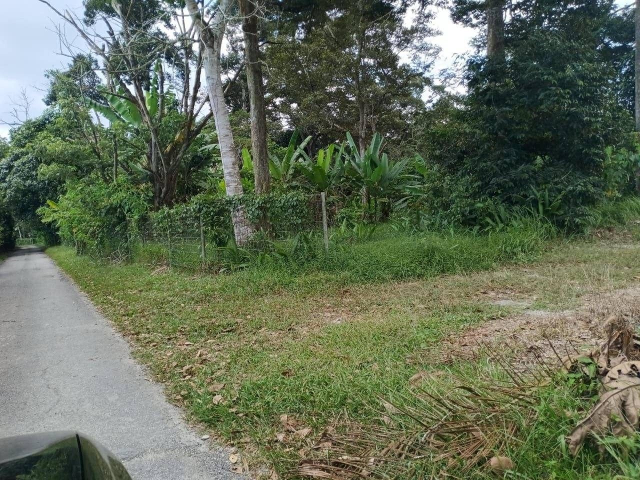 Tanah Dusun 1.114 Ekar Lenggeng Negeri Sembilan Freehold