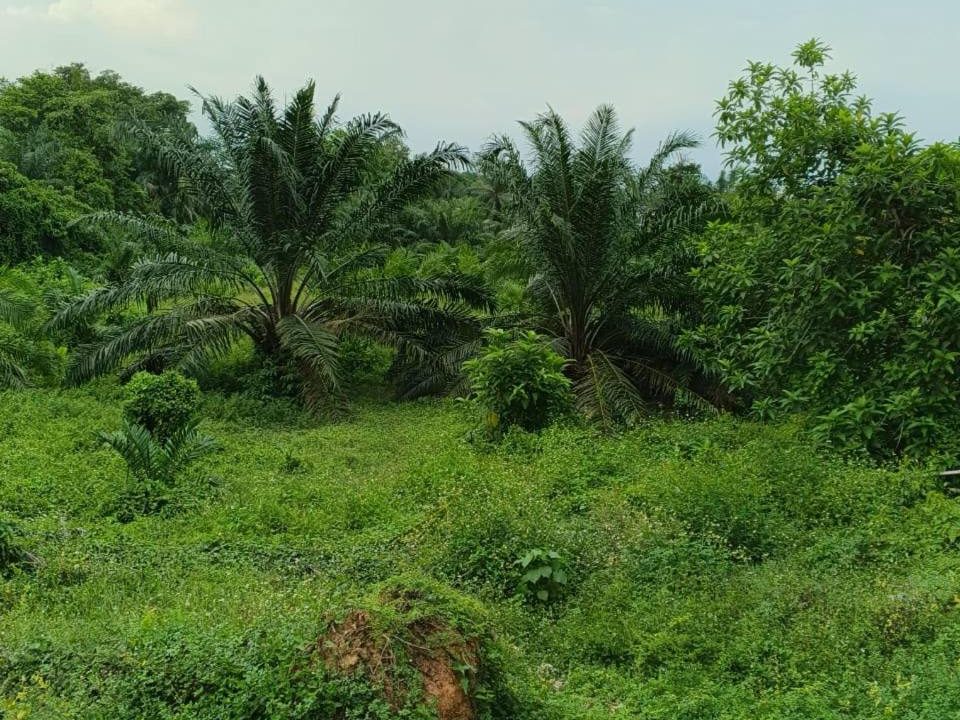 Tanah Freehold 1.10 Ekar Dengkil Selangor Untuk Dijual