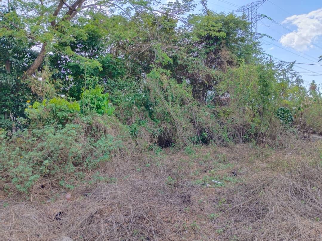 Tanah 0.5 Relong Penghulu Him Sungai Petani Kedah Freehold International Lot