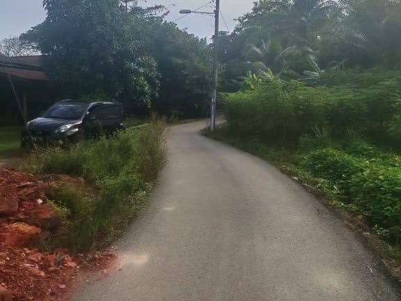 Tanah Pertanian 11,064 Kaki Persegi Kampung Paya Kepala Batas Penang Freehold
