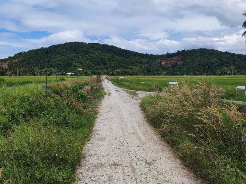 Tanah Pertanian 1.11246 Hektar Kota Kuala Muda Kedah Dekat Pulau Sayak
