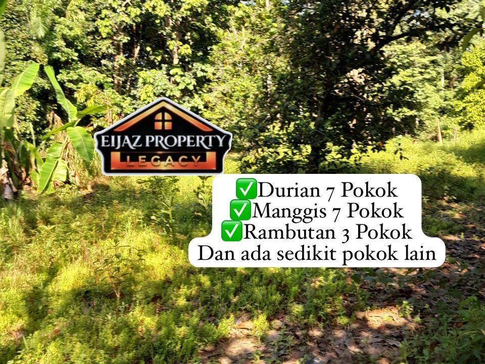 Tanah Dusun International 0.1441 Hektar Kg Carok Jambu Jitra Kedah
