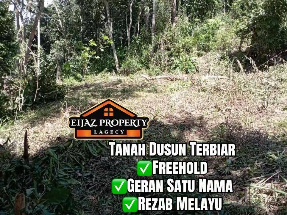 Tanah Dusun 3.02 Relong Kg Ampa Pokok Sena Alor Setar Kedah Freehold