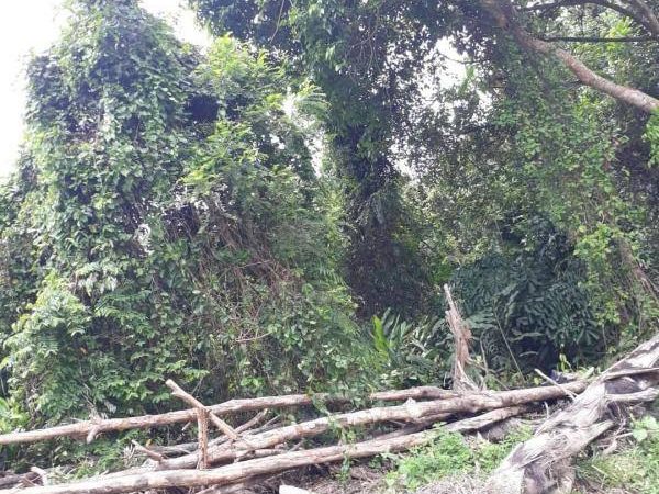 Tanah 8 Ekar Jenderam / Bangi–Dengkil Selangor Freehold (Zoning Bangunan)