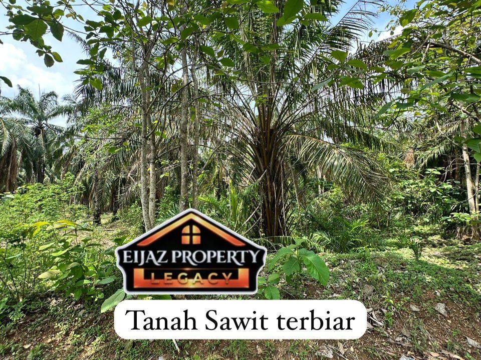 Tanah 3.373 Ekar Tepi Highway Arau Perlis Freehold