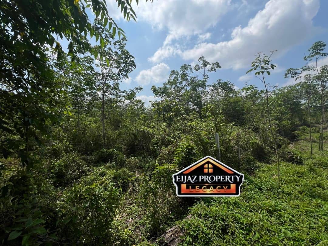 Tanah Kebun Getah 4 Tahun Kg Charok Mokkan Hosba Jitra Freehold