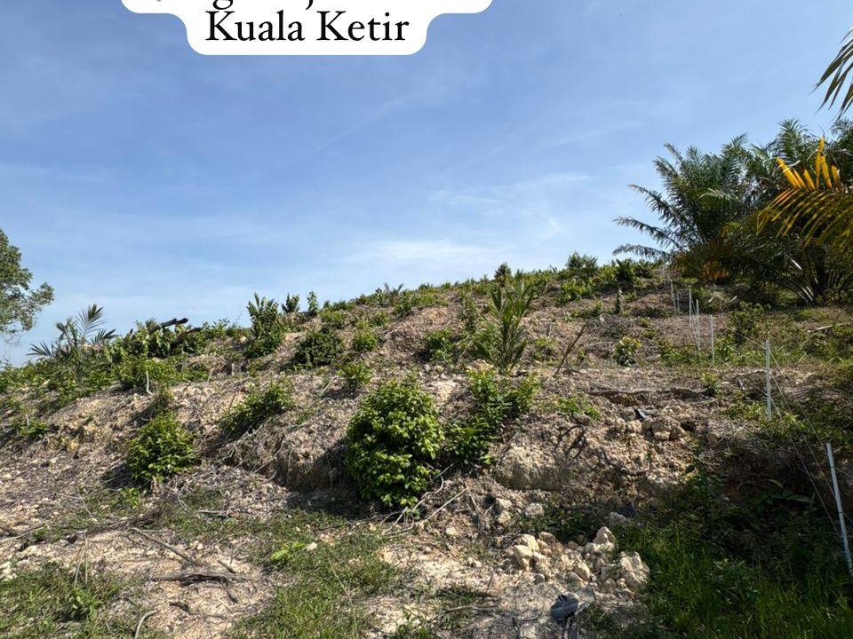 Tanah Sawit Muda 3.10 Relong Kg Binjul Dalam Kuala Ketil Kedah Freehold
