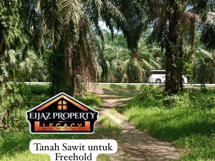 Tanah Pertanian 4.3 Relong Mukim Teloi Kanan Baling Kedah Freehold
