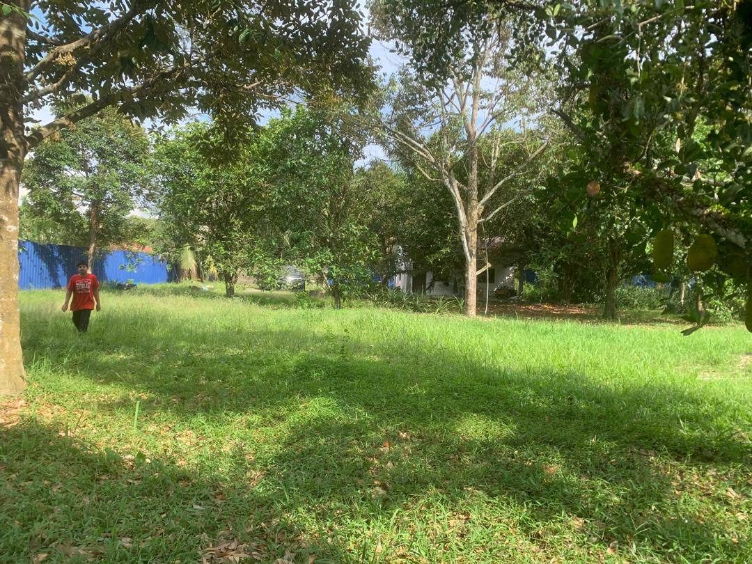 Tanah Dusun Durian Lunas Kulim Kedah 2.5 Ekar Freehold Geran Individu