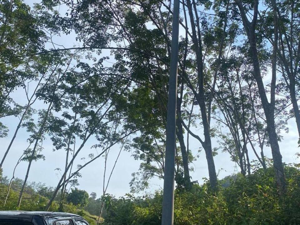 Tanah Kebun Getah 2.09 Ekar Kg Kelemak Melaka Freehold