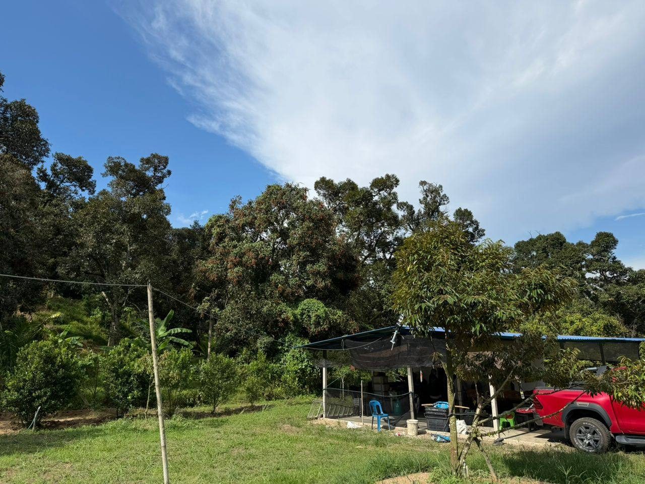 Tanah Dusun Durian & Kebun Getah 9.906 Ekar Freehold Sg Lembu, Bukit Mertajam