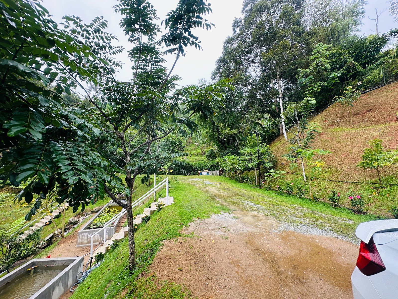 Tanah Janda Baik Bentong 2.11 Ekar